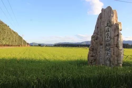 西乡富硒茶和镇安茶(富硒茶庄)-硒宝网