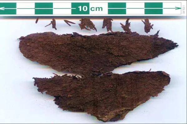 安康富硒茶古法制茶（安康富硒茶多少钱一斤）-硒宝网