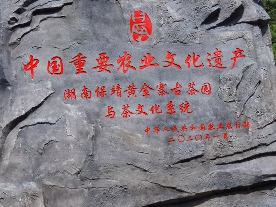 富硒生态茶是什么茶(茶叶富硒)-硒宝网