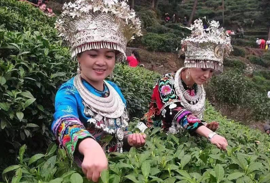 富硒生态茶是什么茶(茶叶富硒)-硒宝网