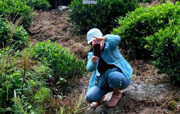 毅林富硒村石台硒茶（石台硒茶有什么功效）-硒宝网