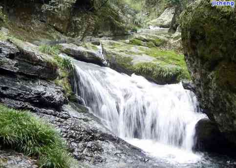毅林富硒村石台硒茶（石台硒茶有什么功效）-硒宝网