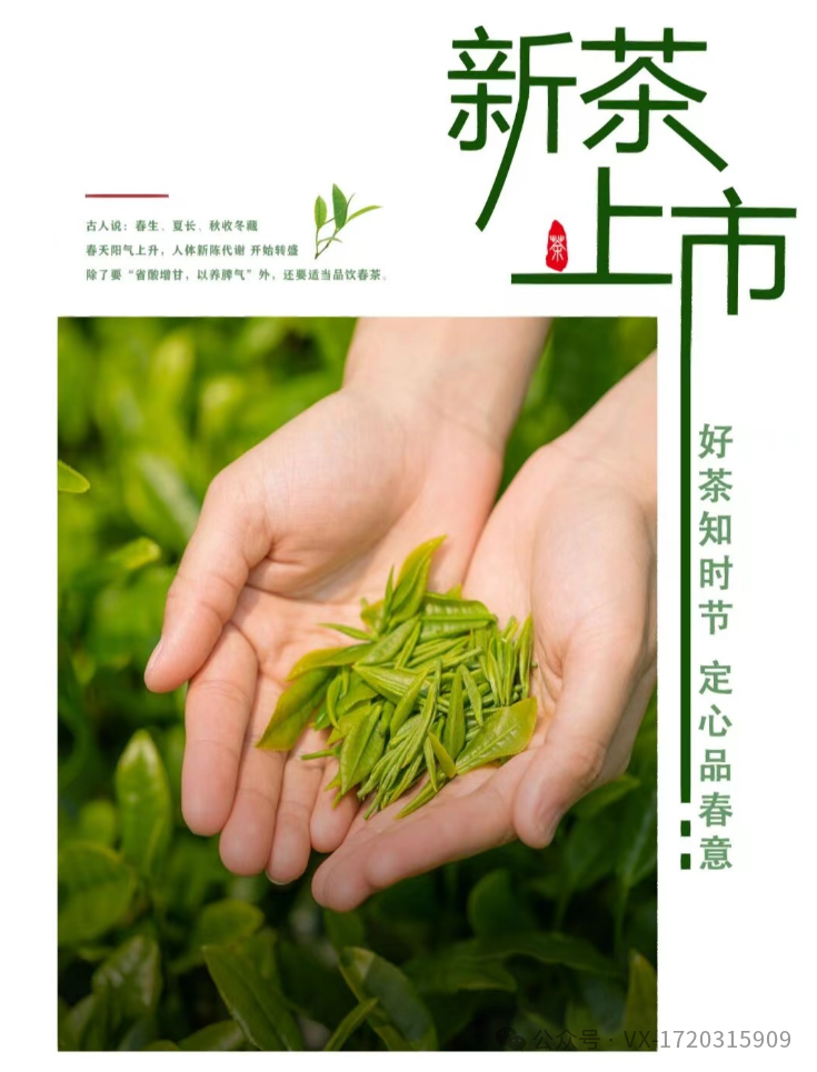 紫阳茶富硒茶的区别(紫阳富硒茶中的硒是什么)-硒宝网