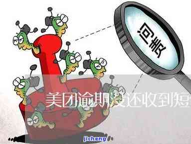 富硒藤茶搭配什么茶(茶搭配富硒藤茶好吗)-硒宝网