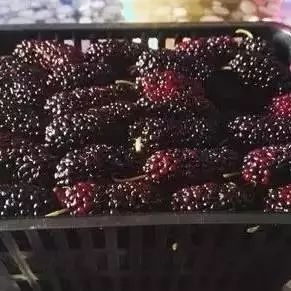 芝麻补钙吗（芝麻补钙是真的吗）-硒宝网