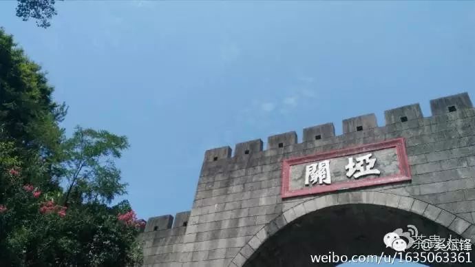 平利女娲茶是富硒茶(平利富硒茶的功效)-硒宝网