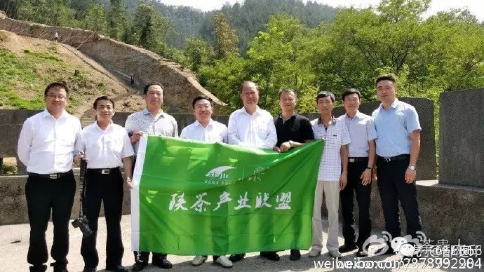 平利女娲茶是富硒茶(平利富硒茶的功效)-硒宝网