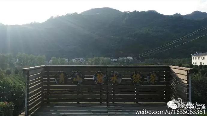 平利女娲茶是富硒茶(平利富硒茶的功效)-硒宝网