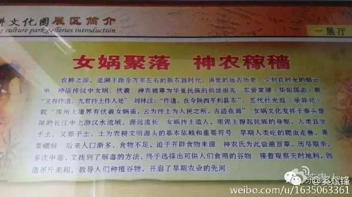 平利女娲茶是富硒茶(平利富硒茶的功效)-硒宝网