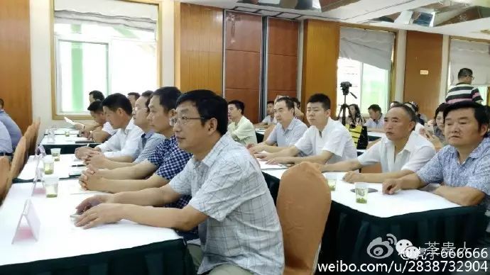 平利女娲茶是富硒茶(平利富硒茶的功效)-硒宝网