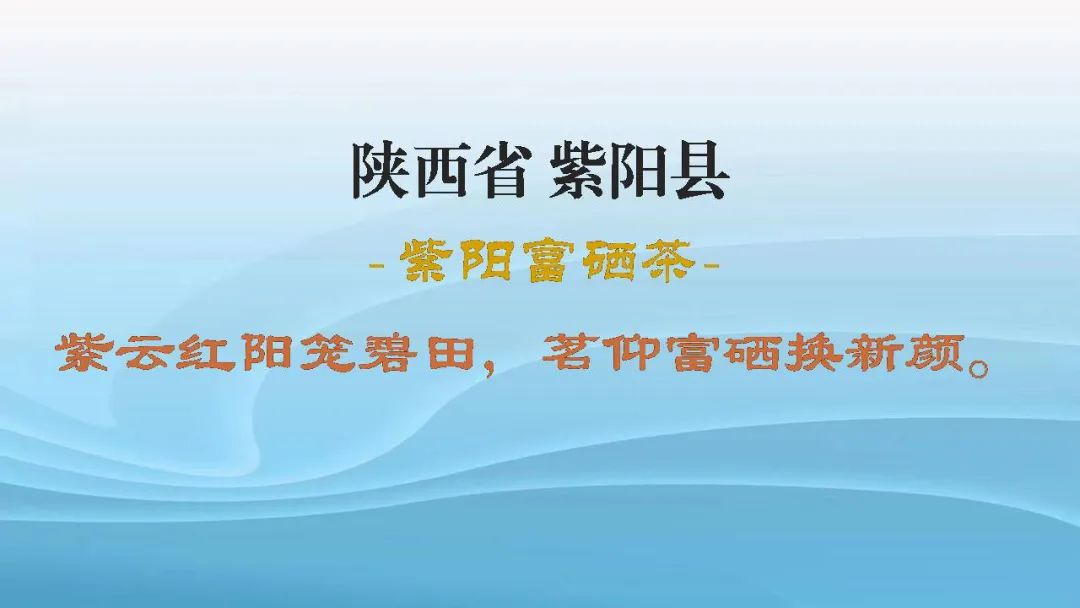 紫阳富硒茶的含硒量(紫阳富硒茶泡出来什么颜色)-硒宝网