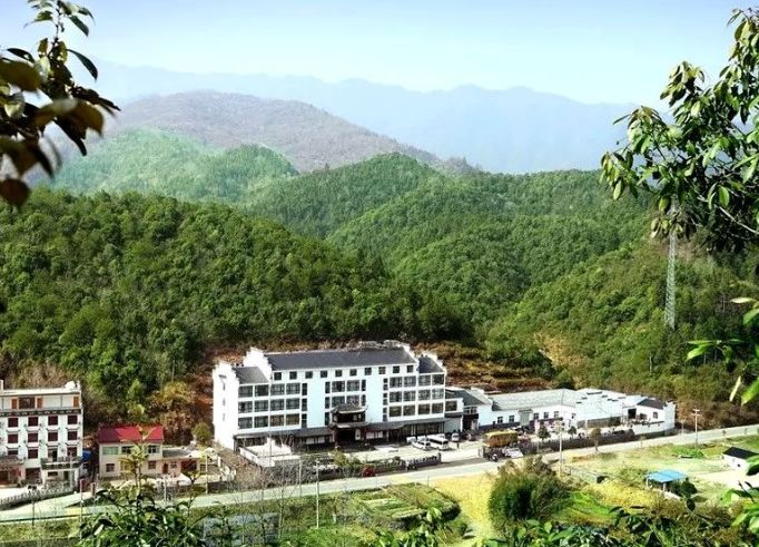 石台富硒茶是什么茶（石台硒茶多少钱）-硒宝网