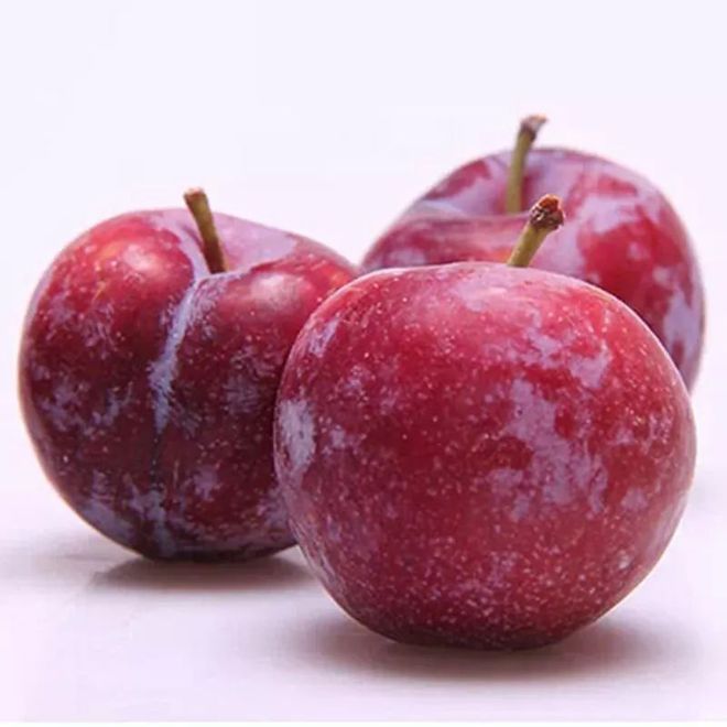 哪种富硒茶含硒量高（各种茶叶含硒排行榜）-硒宝网