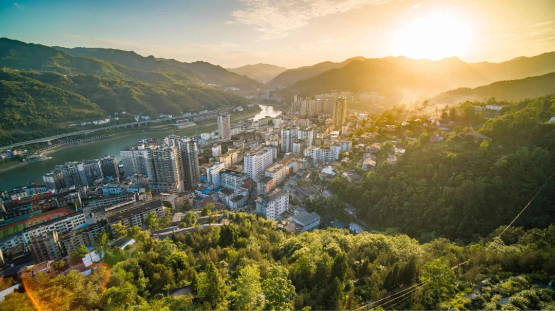 紫阳茶富硒茶的特点（紫阳富硒茶品牌价值）-硒宝网
