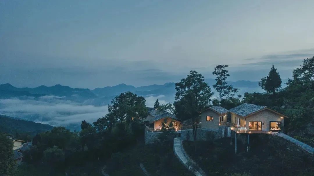 紫阳茶富硒茶的特点（紫阳富硒茶品牌价值）-硒宝网