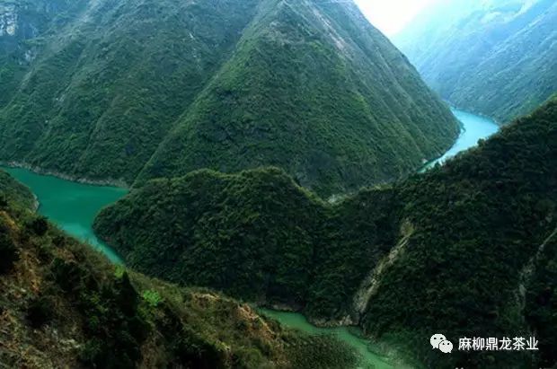 富硒茶好还是无硒好（富硒茶口感）-硒宝网