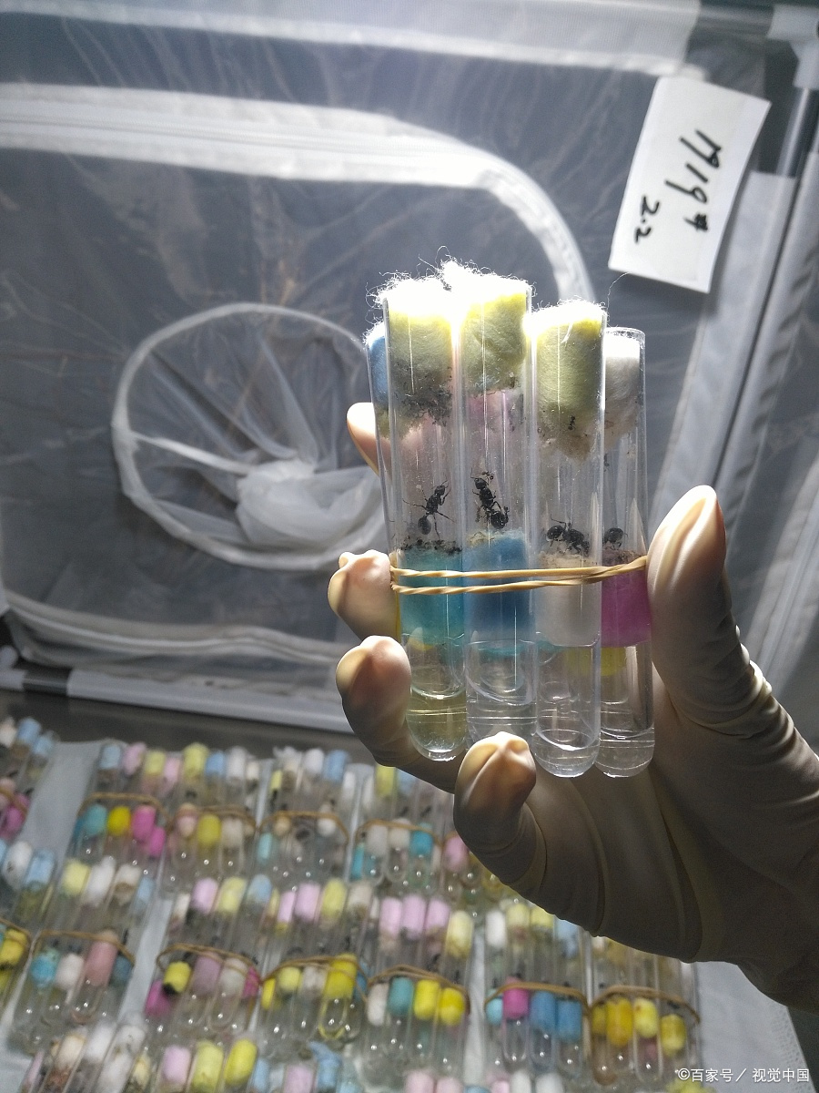 钙是常量元素还是微量元素（微量元素的钙的符号）-硒宝网