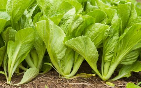 更年期补钙(更年期补钙补多长时间)-硒宝网