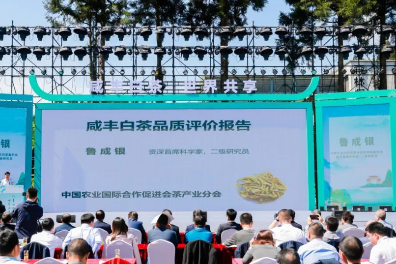 武汉恩施富硒茶企业(湖北恩施富硒茶厂家)-硒宝网