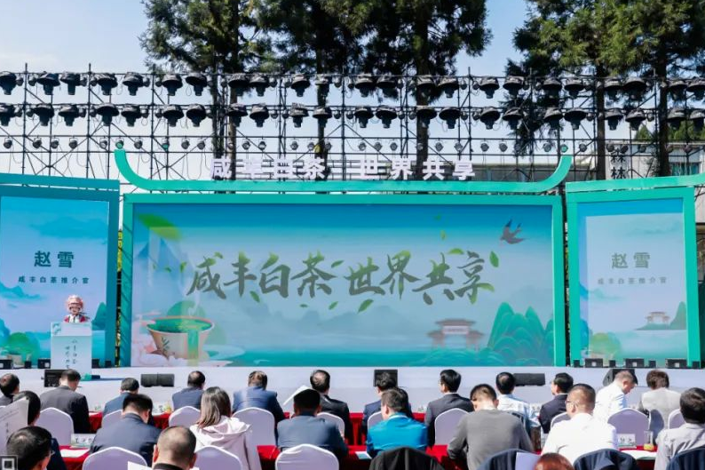 武汉恩施富硒茶企业(湖北恩施富硒茶厂家)-硒宝网