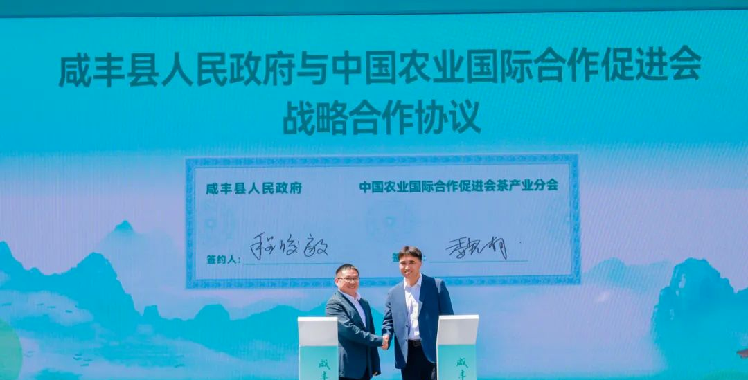 武汉恩施富硒茶企业(湖北恩施富硒茶厂家)-硒宝网