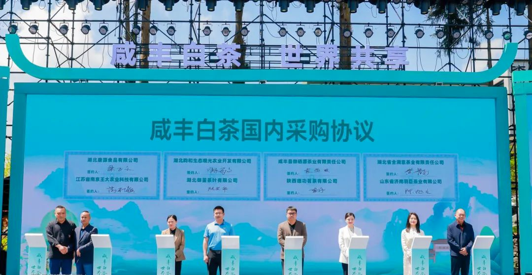 武汉恩施富硒茶企业(湖北恩施富硒茶厂家)-硒宝网