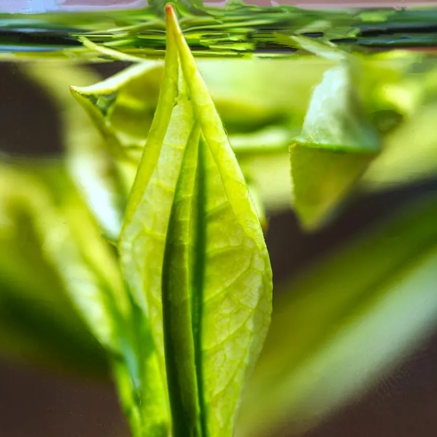 武汉恩施富硒茶企业(湖北恩施富硒茶厂家)-硒宝网