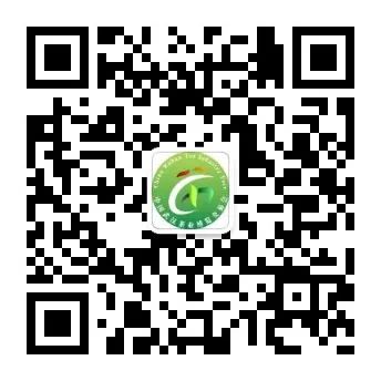 武汉恩施富硒茶企业(湖北恩施富硒茶厂家)-硒宝网