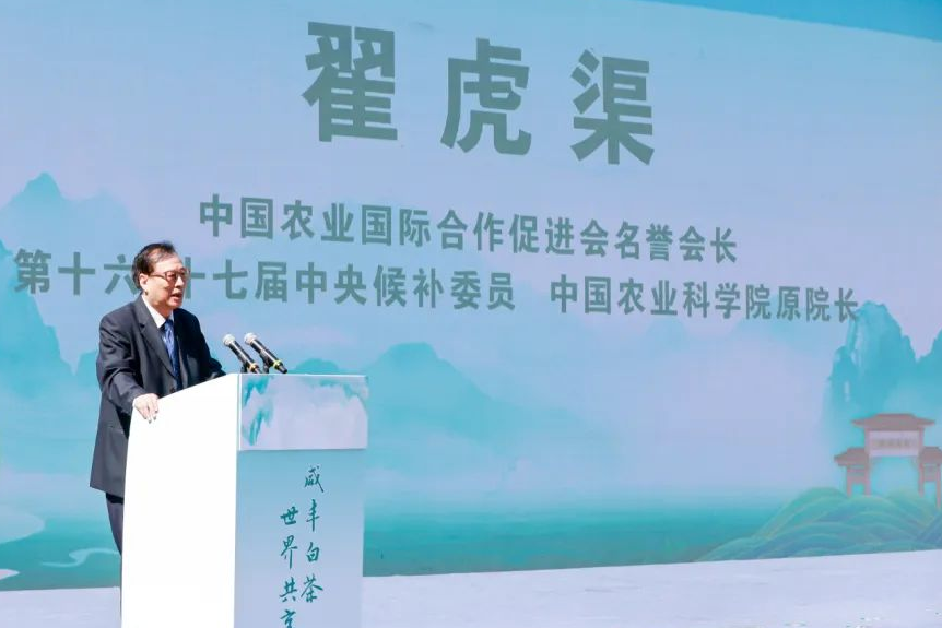 武汉恩施富硒茶企业(湖北恩施富硒茶厂家)-硒宝网