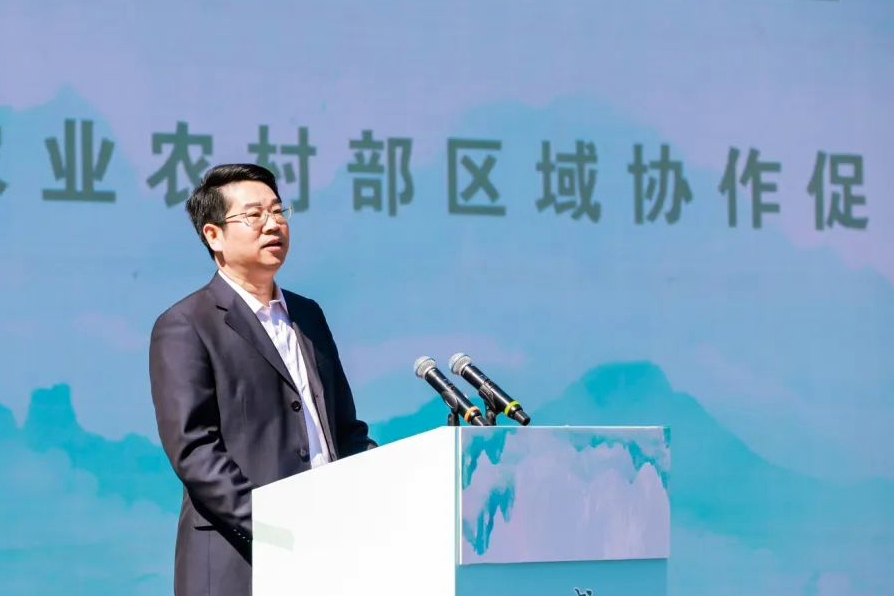 武汉恩施富硒茶企业(湖北恩施富硒茶厂家)-硒宝网