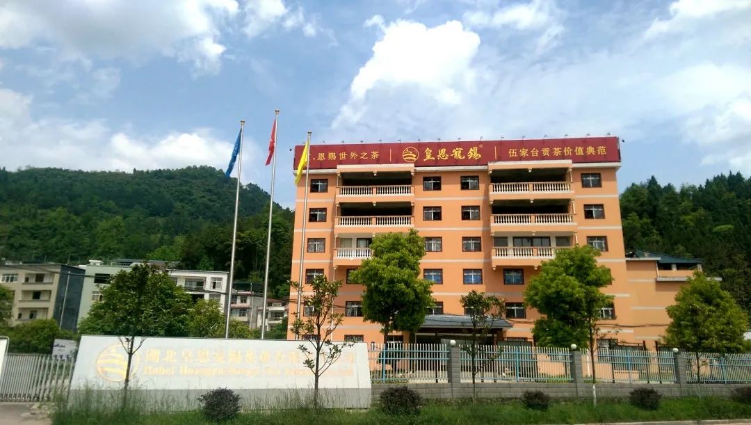 湖北恩施富硒茶加工（恩施富硒茶市场定位分析）-硒宝网