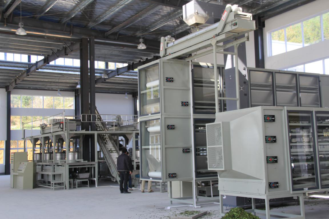 湖北恩施富硒茶加工（恩施富硒茶市场定位分析）-硒宝网