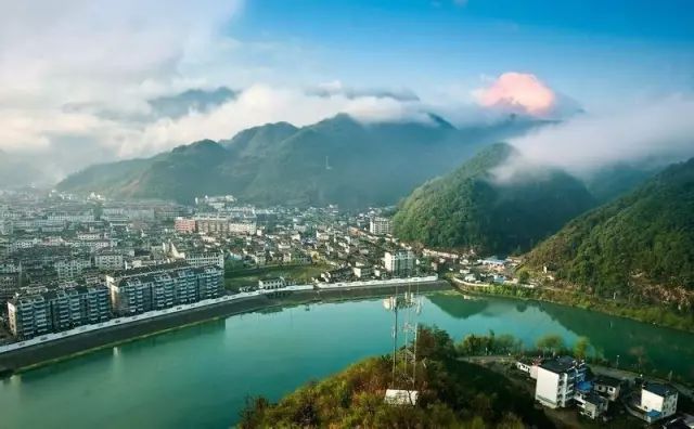 安徽石台高山富硒茶（石台县高山野生硒茶）-硒宝网