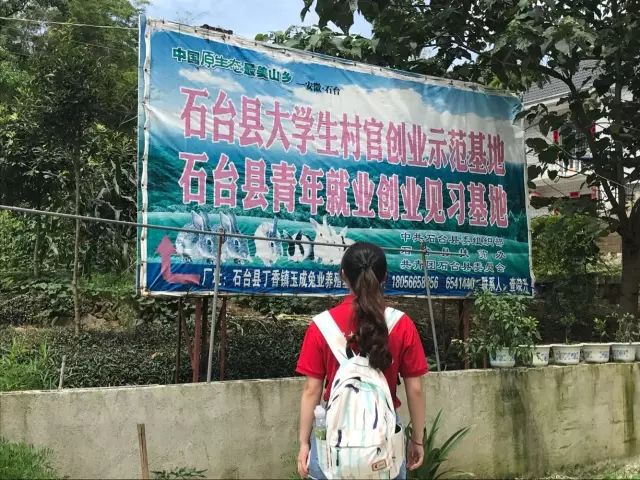 安徽石台高山富硒茶（石台县高山野生硒茶）-硒宝网