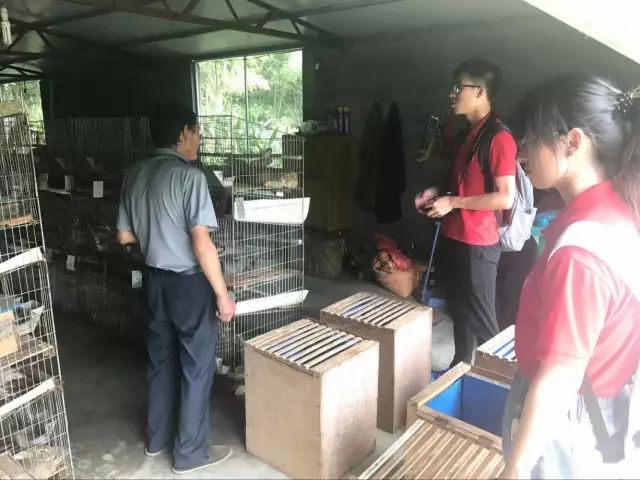 安徽石台高山富硒茶（石台县高山野生硒茶）-硒宝网