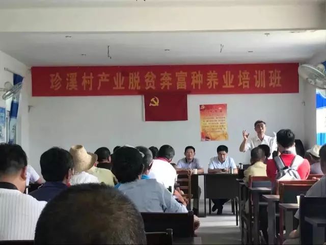 安徽石台高山富硒茶（石台县高山野生硒茶）-硒宝网