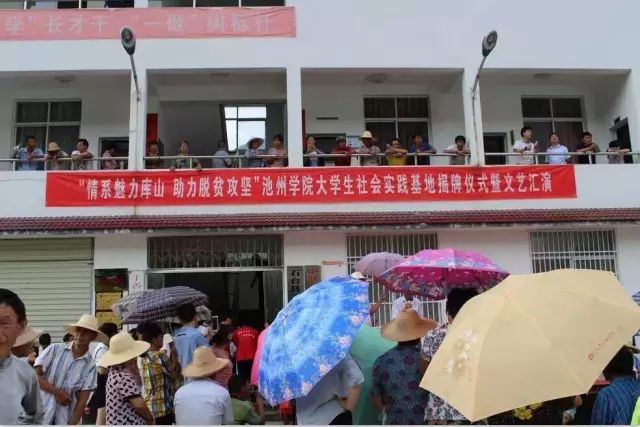 安徽石台高山富硒茶（石台县高山野生硒茶）-硒宝网