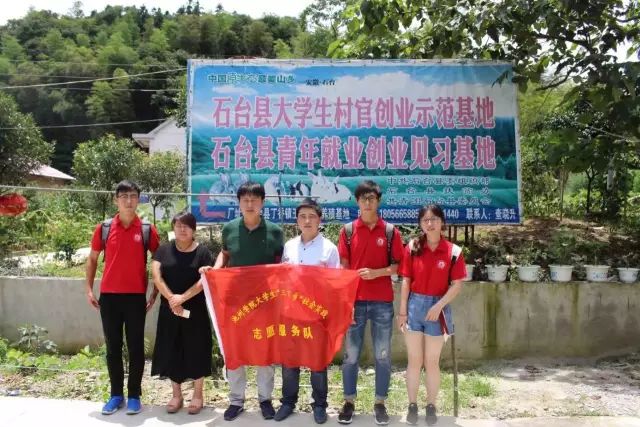 安徽石台高山富硒茶（石台县高山野生硒茶）-硒宝网