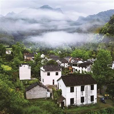 安徽石台高山富硒茶(安徽石台县富硒茶)-硒宝网