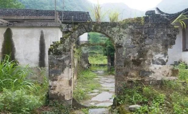 安徽石台高山富硒茶(安徽石台县富硒茶)-硒宝网