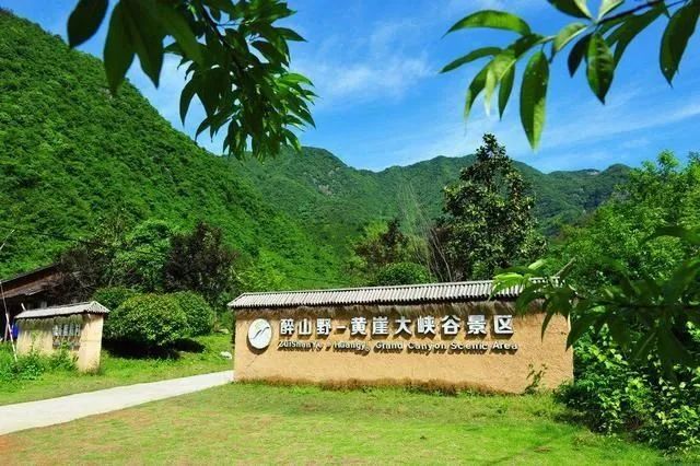 安徽石台高山富硒茶(安徽石台县富硒茶)-硒宝网