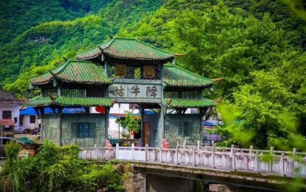 安徽石台高山富硒茶(安徽石台县富硒茶)-硒宝网