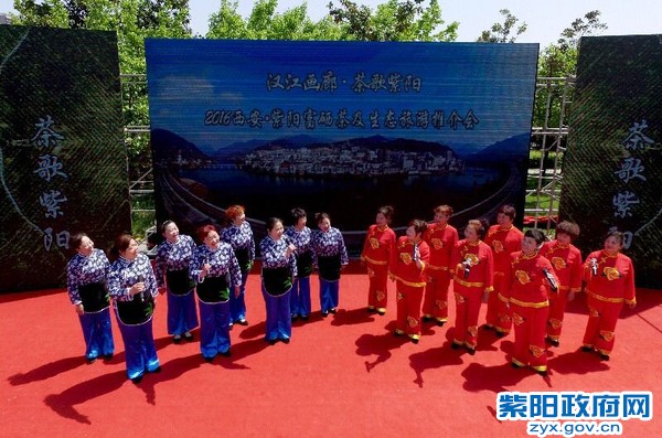 紫阳茶富硒饮品功效(喝紫阳富硒茶的好处)-硒宝网