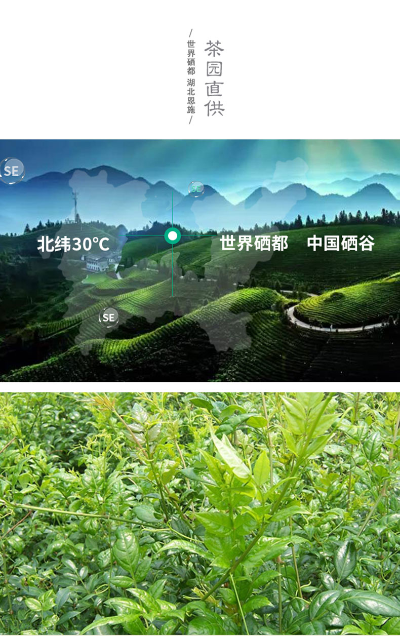 富硒茶硒能溶于水吗（富硒水溶肥）-硒宝网