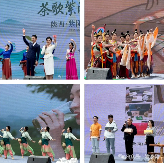 紫阳富硒茶销售渠道（紫阳富硒茶宣传语）-硒宝网