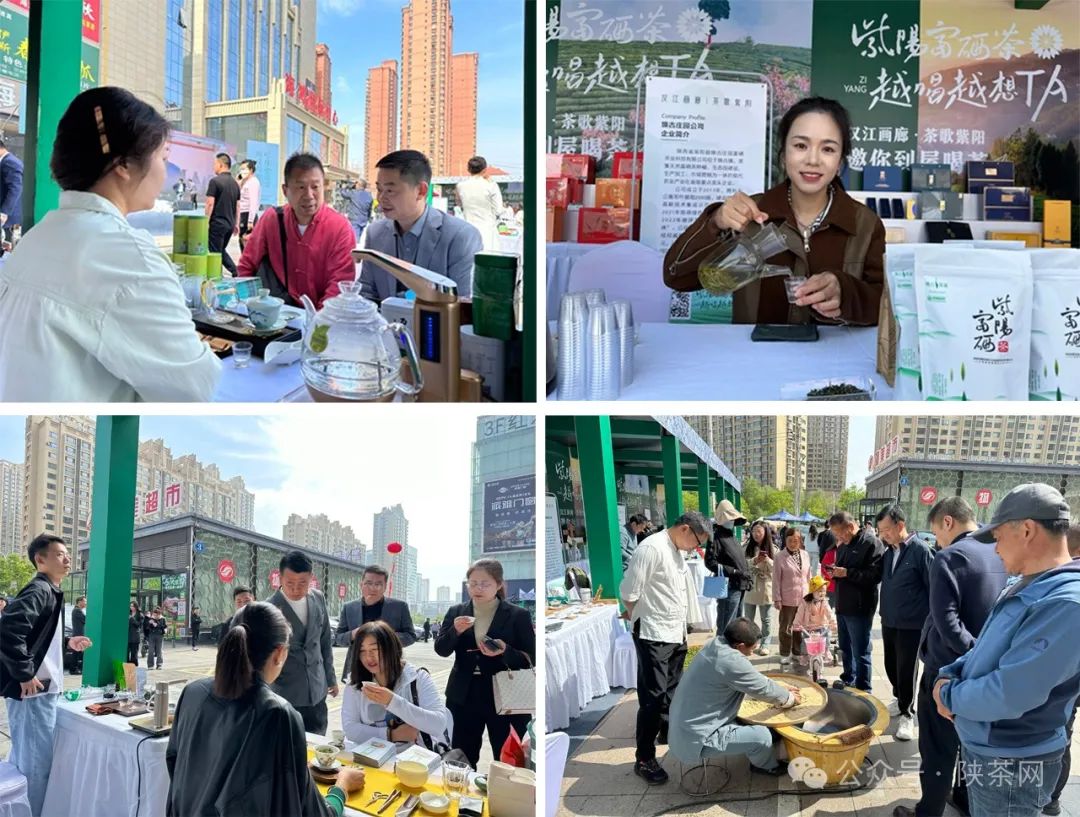 紫阳富硒茶销售渠道（紫阳富硒茶宣传语）-硒宝网