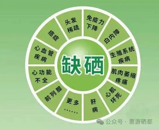 湖北特产恩施富硒茶(湖北的恩施富硒茶厂)-硒宝网