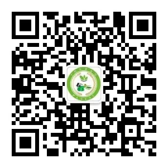 平利女娲茶是富硒茶(安康富晒茶平利女娲)-硒宝网