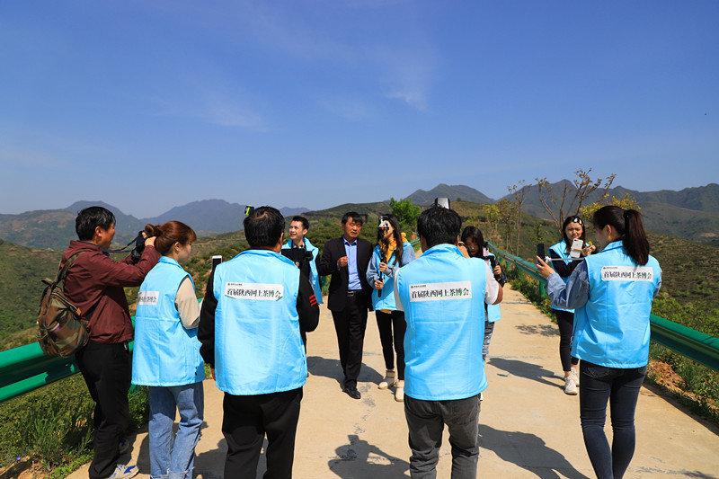 汉中哪有紫阳富硒茶（紫阳富硒茶厂）-硒宝网