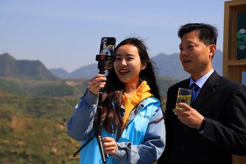 汉中哪有紫阳富硒茶（紫阳富硒茶厂）-硒宝网